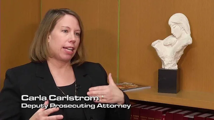 Case Profile: David Pietz