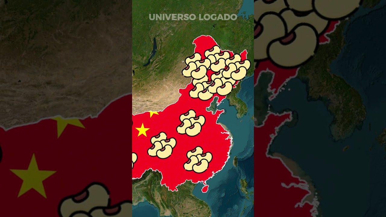 Os 5 Maiores Produtores de Soja do Mundo