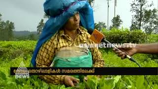Wage updation : Plantation workers to Go on strike in Kerala