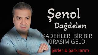 Şenol Dağdelen - Kadehleri Bir Bir Kırasım Geldi ( Şiir ) Selma Demir #şiir #keşfet #şiirheryerde Resimi