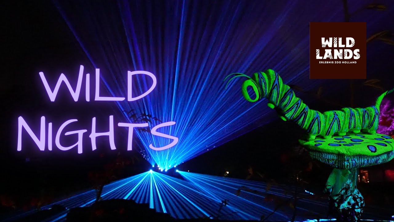 Die WILDNIGHTS im WILDLANDS Adventure Zoo Emmen ❄️