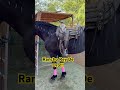 Warlander , Las Vegas Nevada RANCHO REY DE ORO!!! Se Renta el Rancho para eventos