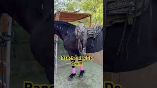 Warlander , Las Vegas Nevada RANCHO REY DE ORO!!! Se Renta el Rancho para eventos