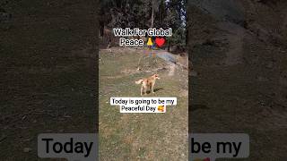 Today is my Peaceful Day 🥰 #walkforpeace #alokathepeacedog #doglove #travelusa #peacefulmoments