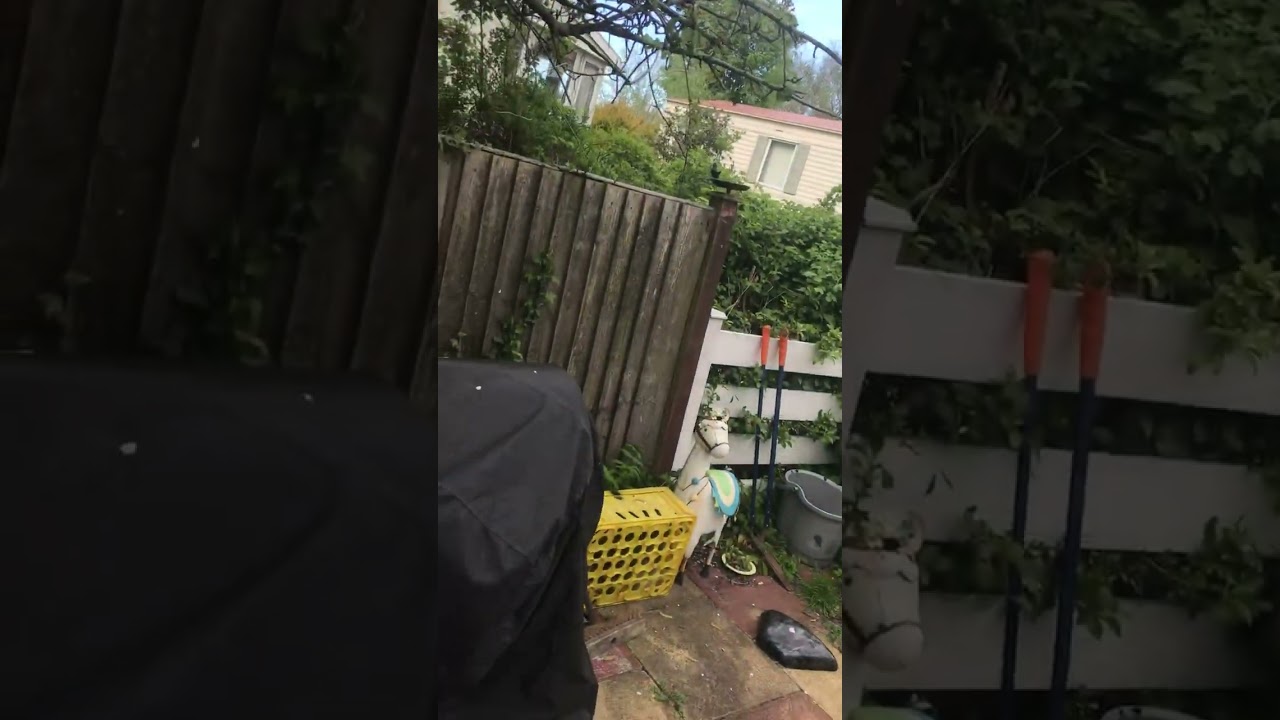 Cafe racer speedo pain in the ass