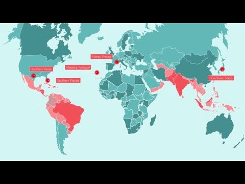 The Global Burden of Dengue - YouTube