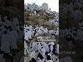 🕋🌙Youm_e_Arafat ka nurani Manzar #share #love#superlike#comment#viral#trending#ytshorts#explore #sub