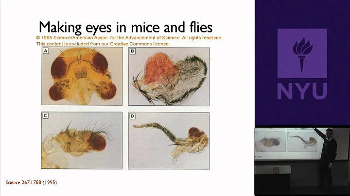 Natural Science II: Genomes and Diversity - Other Animal Genomes: Similarities and Differences