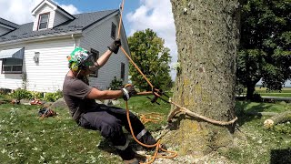 Port-A-Wrap Basics: Sweating the Line and Locking it Off | Arborist Rigging Tutorial