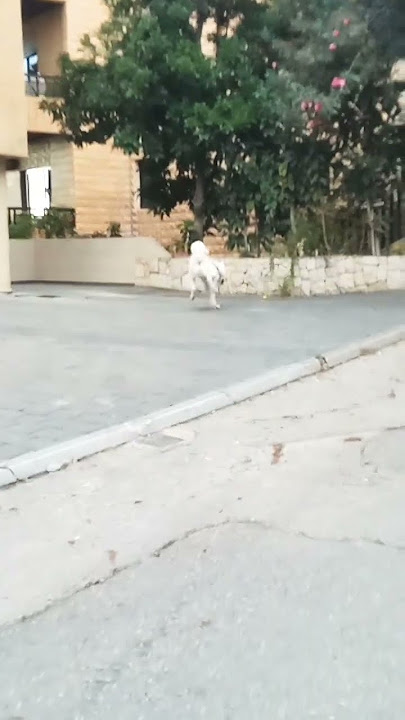 please subscribe to my Chanel