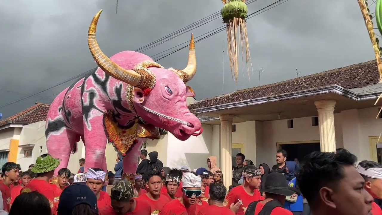 Kebo-keboan Desa Aliyan 2025