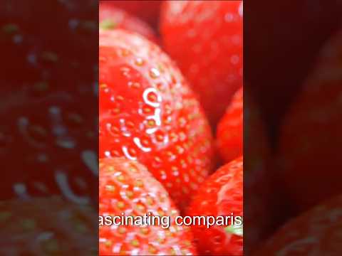 BLUE BERRY VS STRAWBERRY