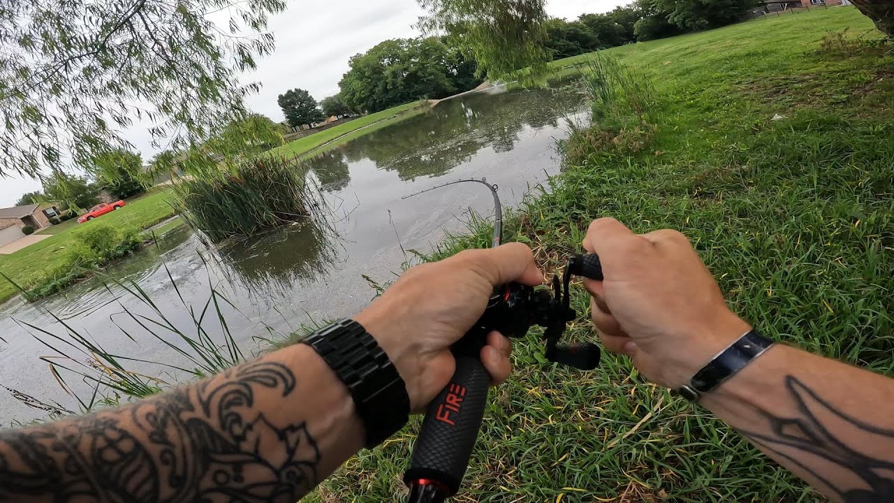 Uncut: TOPWATER frog catches POND monster! (bank fishing) #fish #fishing #bass #bassfishing