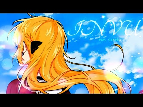 Team.동백(camellia) / invu /《합작매드무비》
