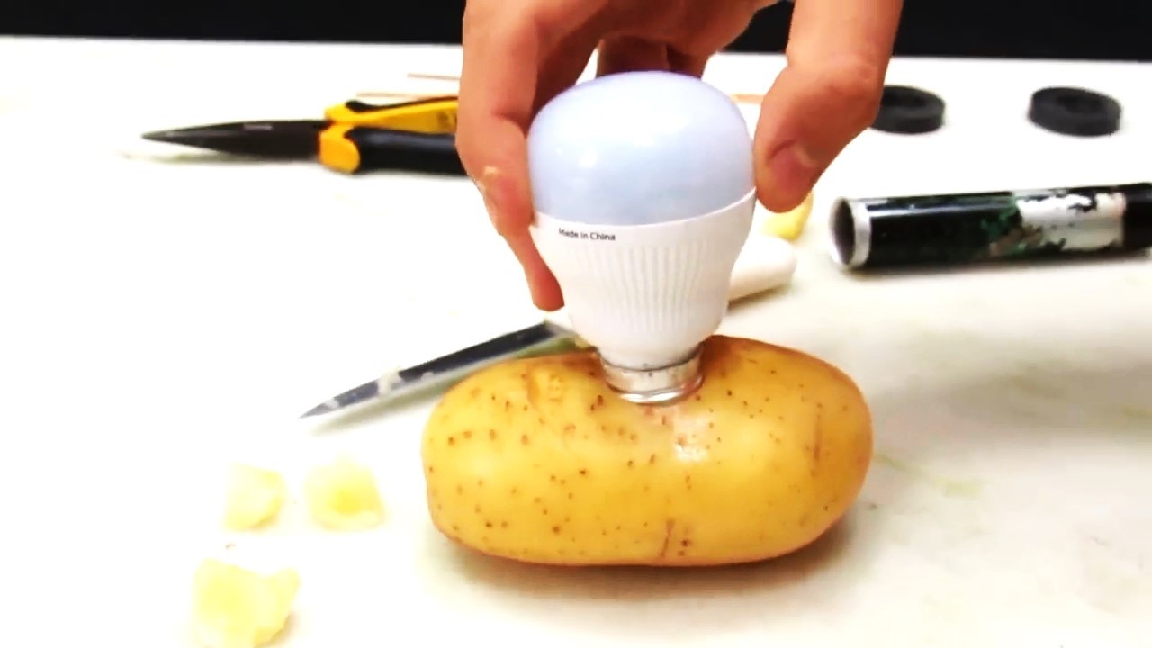 Experimento Da Batata Que Acende A Luz