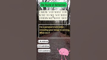 Riddle: The Puzzle of Reflection #brainteaser #puzzle #riddle