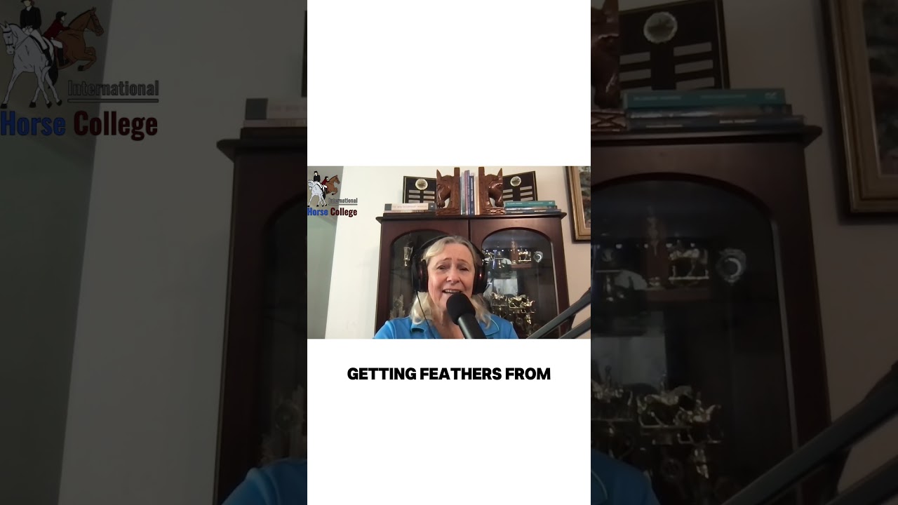 Episode 1000: Andrew McLean and Jonna McLean - A Horse Family Legacy