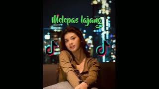 Dj TikTok melepas lajang, || slow Remix