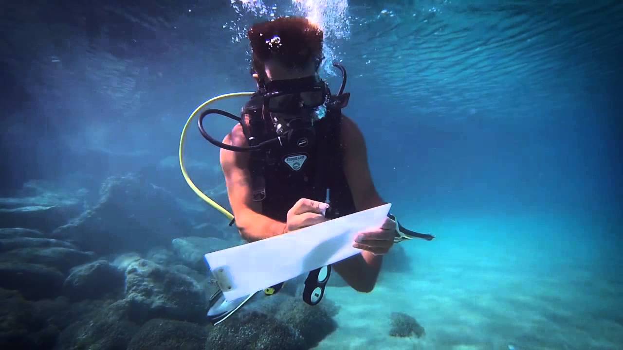 MYNT can go anywhere