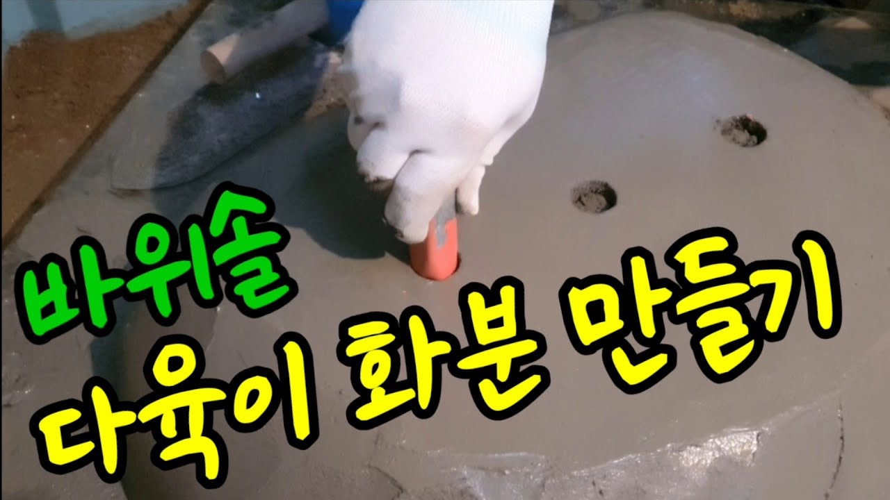 바위솔 화분 시멘트로 만들기 / 야생화 텃밭정원TV