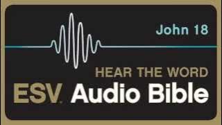 ESV Audio Bible, Gospel of John, Chapter 18