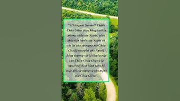 Tông đồ cầu nguyện (13/05/2023). Cùng Chúa Giêsu trong ngày.