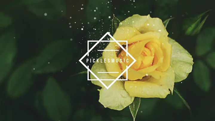 Chris Travis - Live From The Creek