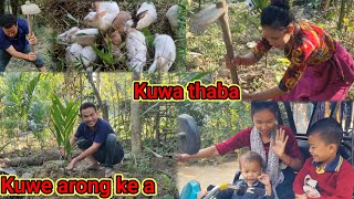 Kuwa pambi khara thage/Kuwe arong ke a jo/village life vlog