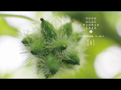 一日一万歩 草花図鑑 Taku Note