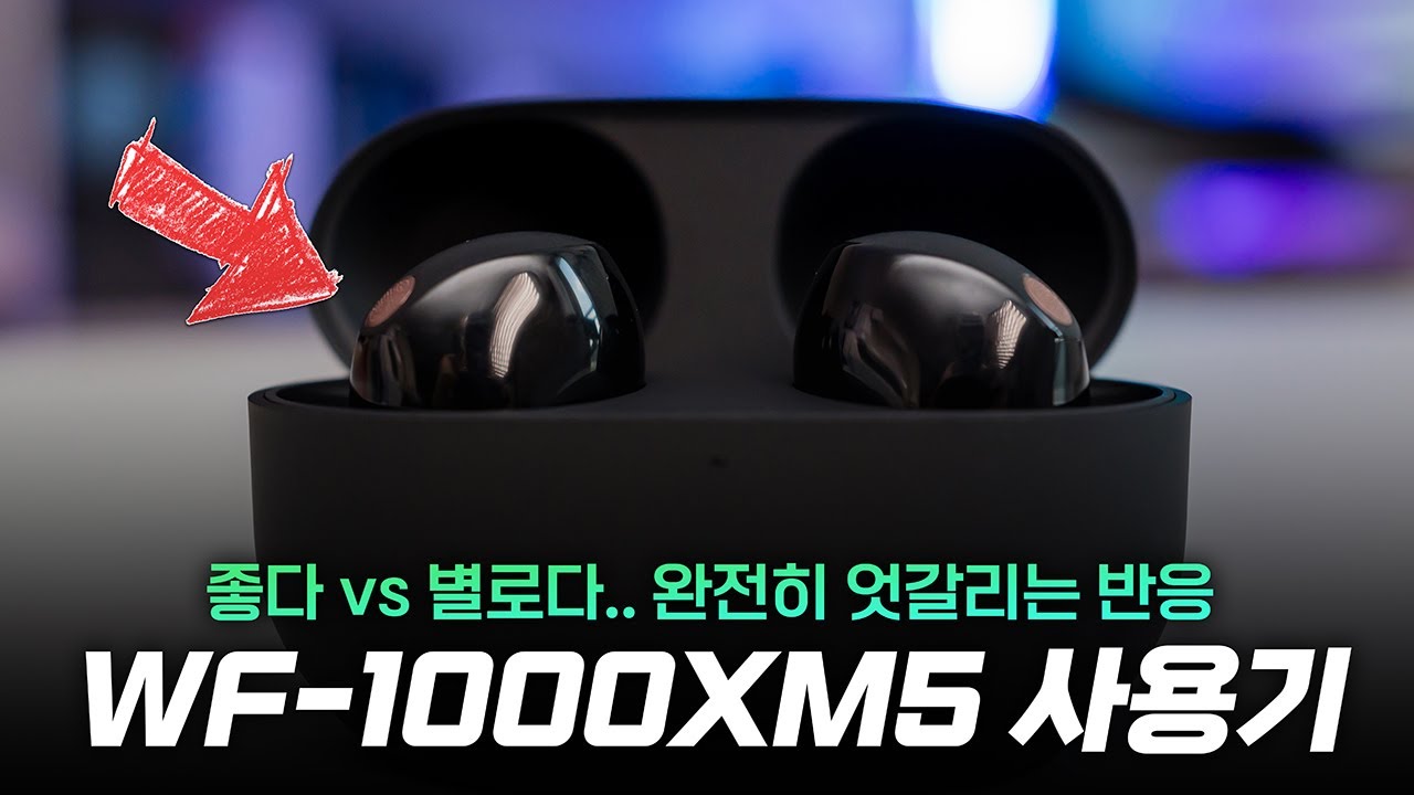 극과 극 반응..? 소니 노캔이어폰 WF-1000XM5 2주 사용기 | 살까말까?