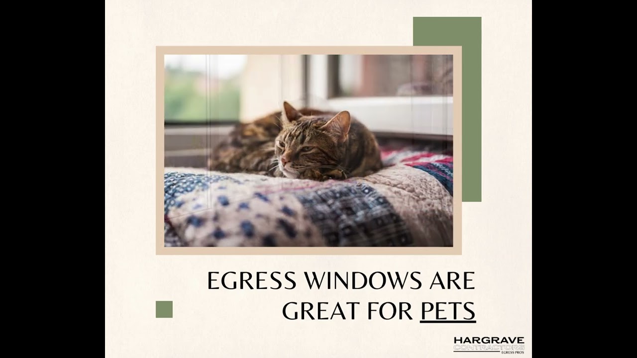 Egress Windows are a stylist addition to any home! Pets love them too!!!