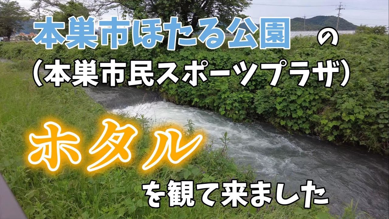 I went to see the fireflies at Motosu City Firefly Park (Motosu