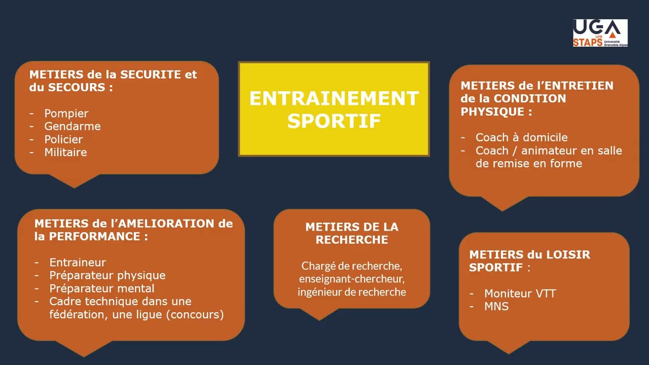 Les études en Staps Focus sur la L1