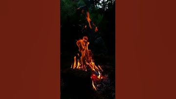 تلاوة رائعة بصوت الشيخ محمد صديق المنشاوي من سورة يونس #القرآن_الكريم #محمد_صديق_المنشاوي #holyquran