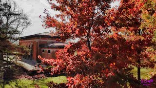 4k Drone Video Mt Echo Cincinnati-His Kiss