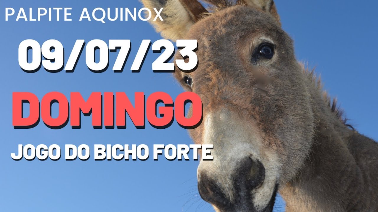 Palpite para o de jogo do bicho de hoje 09/07/23 Palpite Aquinox ⭐ Para ...