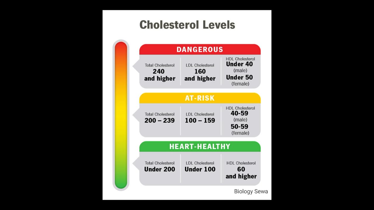 Good Cholesterol or Bad Cholesterol ? Cholesterol levels || Safe Cholesterol level #cholesterol