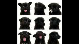 nettspend + early life crisis type beat - "savemysoul" Wealth