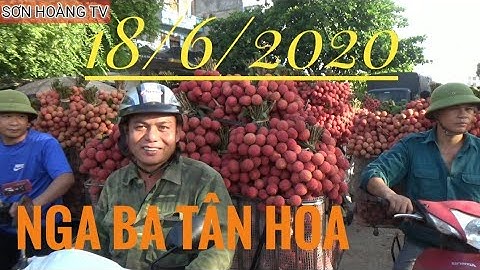 Cập nhật giá vải thiều lục ngạn 18/6/2020 tại ngã ba Tân Hoa ( Luc Ngan litchi )