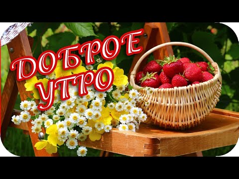 ПОЖЕЛАНИЕ С ДОБРЫМ УТРОМ🌸 ПОЖЕЛАНИЕ ОТ ВСЕЙ ДУШИ🌸 С ДОБРЫМ УТРОМ ХОРОШЕГО ДНЯ🌸 МУЗЫКАЛЬНАЯ ОТКРЫТКА🌸