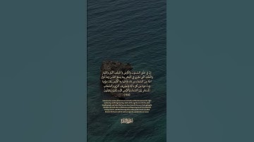 164 سورة البقرة: التلاوة المعبرة مع الترجمة الإنجليزية