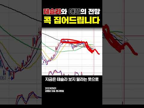 테슬라, 애플 주가 전망 콕 집어드립니다 | 강흥보 대표