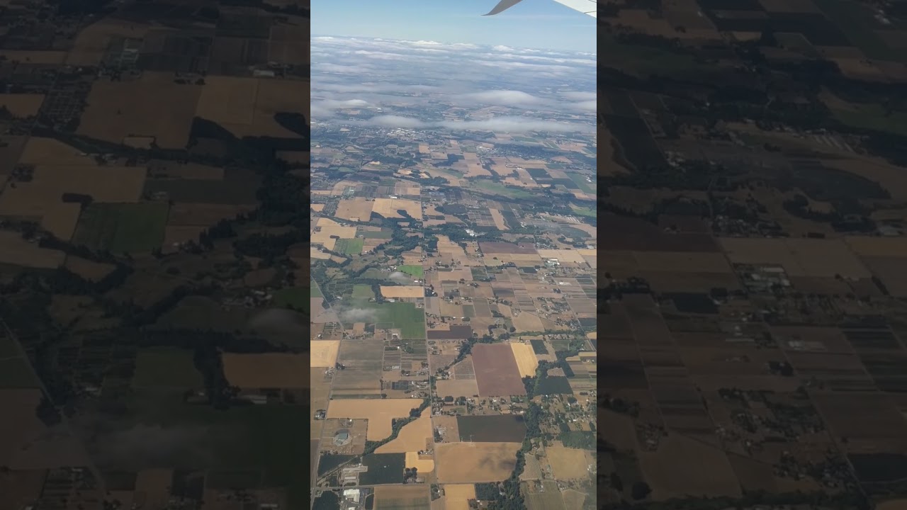 Land of beer hops farm- Portland, USA