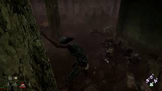 Stuck onto a tree on Asylum map