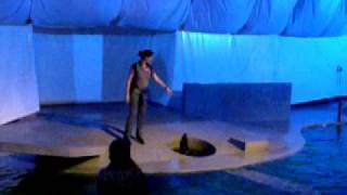 HPIM0984.AVI