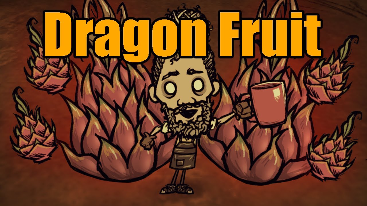 HODOWLA DRAGON FRUITA w DST