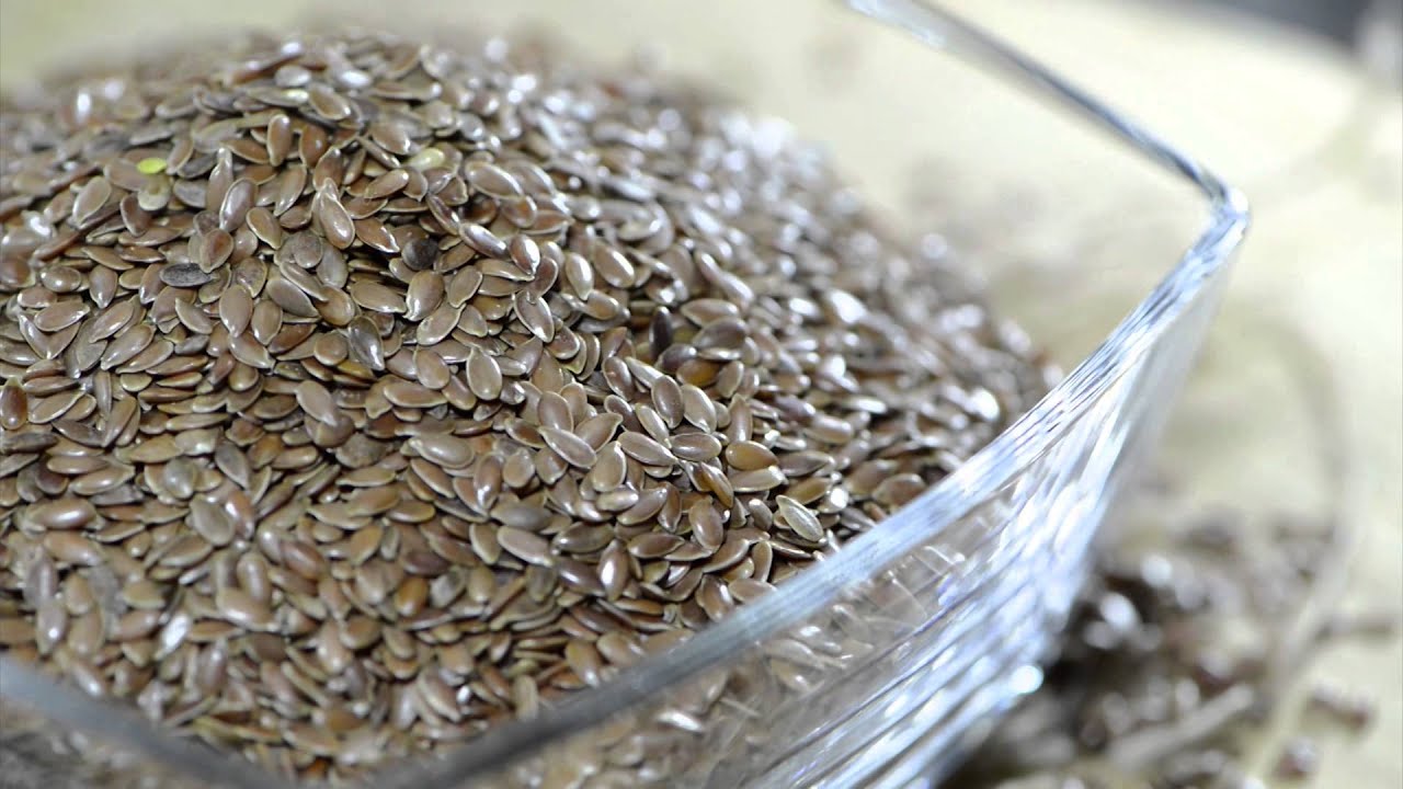 Yevo43.com - How many essential nutrients are there?