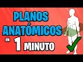 ✅ PLANOS ANATÓMICOS en 1 MINUTO 😱