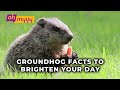 Facts About Groundhogs! | George Takei’s Oh Myyy