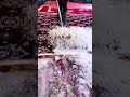 Want to clean like a pro? Shop the tools used in this video below or check my profile BIO! 🛒👇